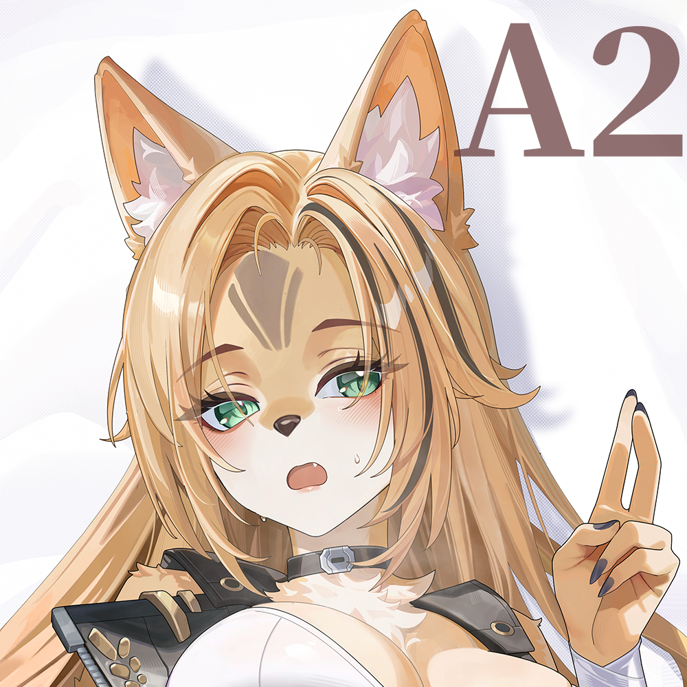 Pulchra Dakimakura Body Pillowcase
